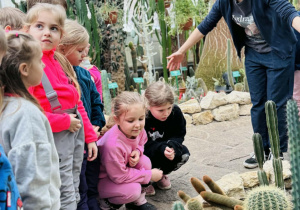 dzieci oglądają rośliny