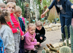 Wycieczka do Palmiarni