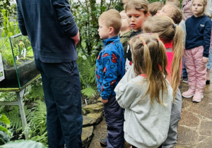 dzieci oglądają rośliny
