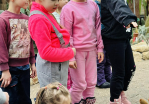 dzieci oglądają rośliny