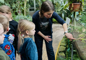 dzieci oglądają rośliny