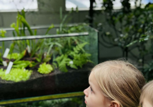 dzieci oglądają akwarium