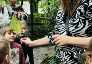 dzieci oglądają rośliny