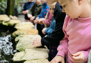 dzieci oglądają rośliny