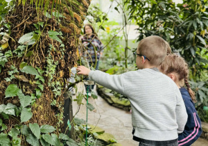 dzieci oglądają rośliny