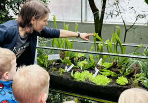 dzieci oglądają rośliny