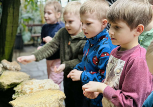 dzieci oglądają rośliny