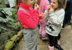 dzieci oglądają rośliny