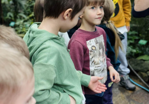 dzieci oglądają rośliny