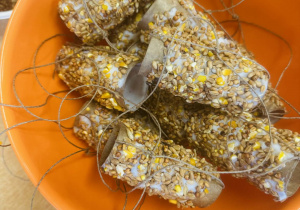 Jedzenie dla ptaków