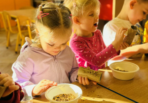 Dzieci przygotowują jedzenie dla ptaków