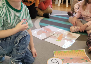 Zabawy matematyczne z marchewką