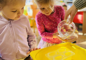 Dzieci robią eksperymenty z wodą i lodem