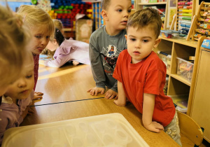 Dzieci robią eksperymenty z wodą i lodem