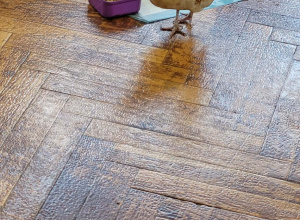 Spotkanie z wiejskimi zwierzakami