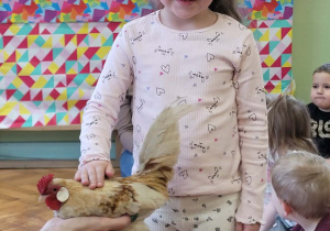 Warsztaty ze zwierzakami