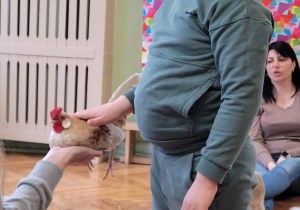 Warsztaty ze zwierzakami