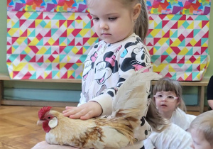 Warsztaty ze zwierzakami