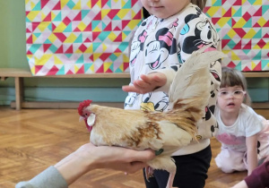 Warsztaty ze zwierzakami