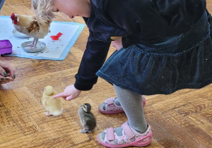 Warsztaty ze zwierzakami