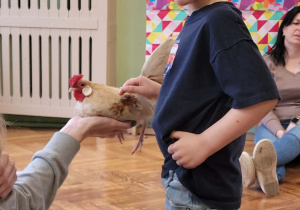 Warsztaty ze zwierzakami