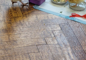 Warsztaty ze zwierzakami