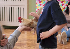 Warsztaty ze zwierzakami