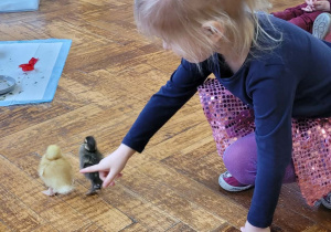 Warsztaty ze zwierzakami