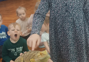 dziewczynka głaszcze agame