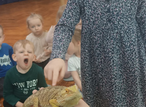 Wizyta kameleona i agamy brodatej