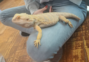 agama brodata