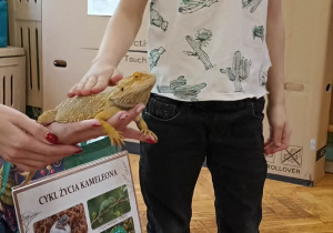 dzieci głaszczą gekona