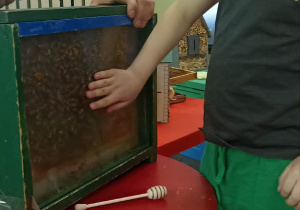 dzieci ogladają ul