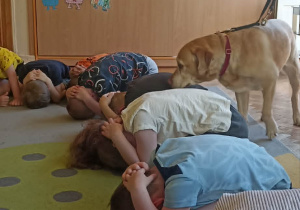 dzieci siedzą w pozycji obronnej