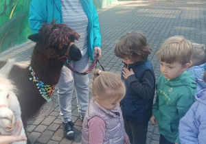 Dzieci przytulają alpaki