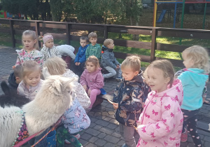Dzieci przytulają alpaki