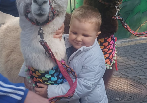 Dzieci przytulają alpaki