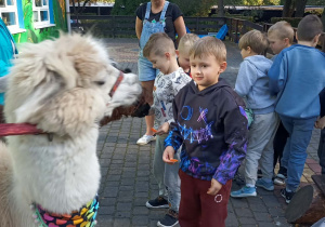 dzieci podchodzą do lamy
