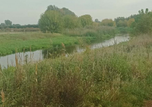 rzeczka