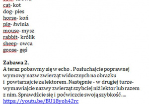 Zdjęcie 1 na 1